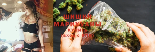 винт Гусь-Хрустальный