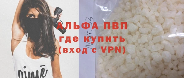 шишки Горно-Алтайск