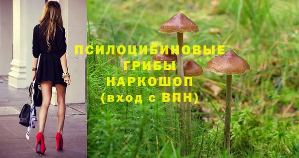 не бодяженный Горнозаводск