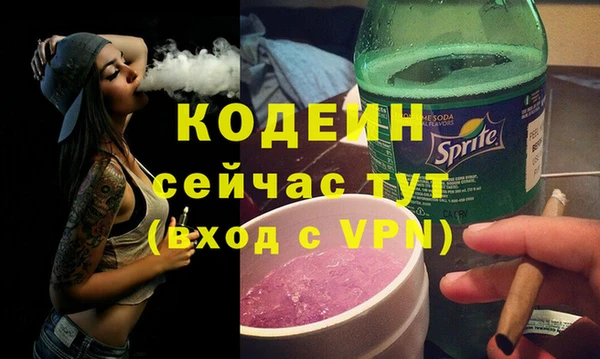 шишки Горно-Алтайск