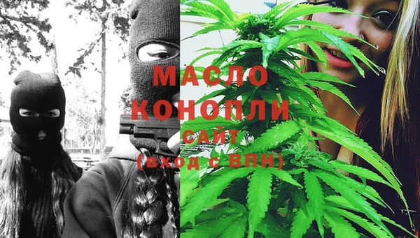 эйфоретик Гусев