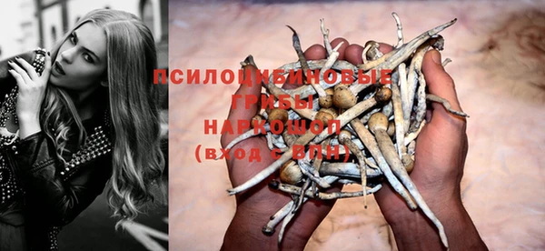 не бодяженный Горнозаводск