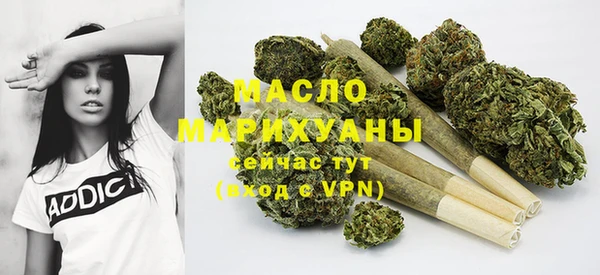 шишки Горно-Алтайск