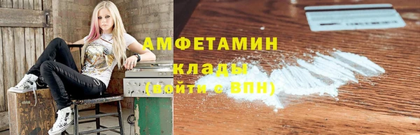 шишки Горно-Алтайск