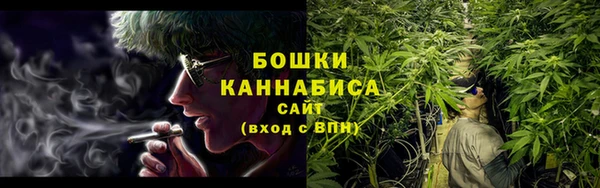 шишки Горно-Алтайск